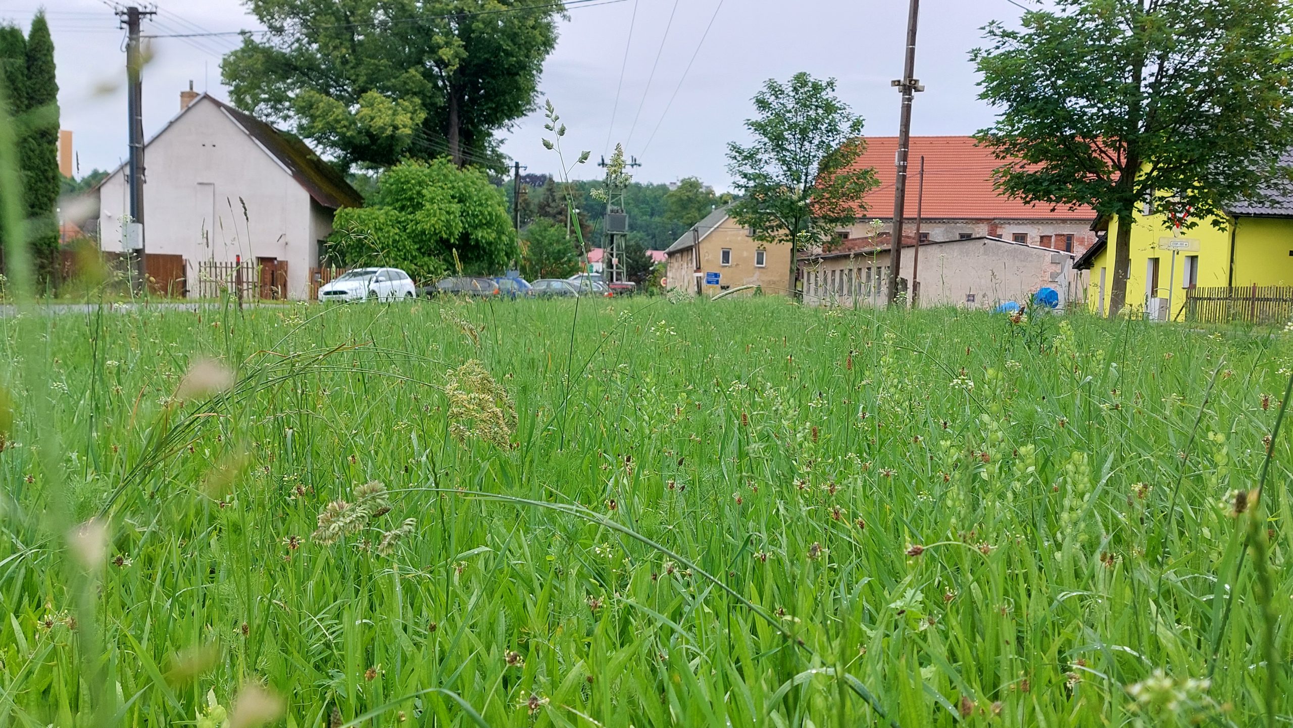 návrh veřejného prostranství a parku